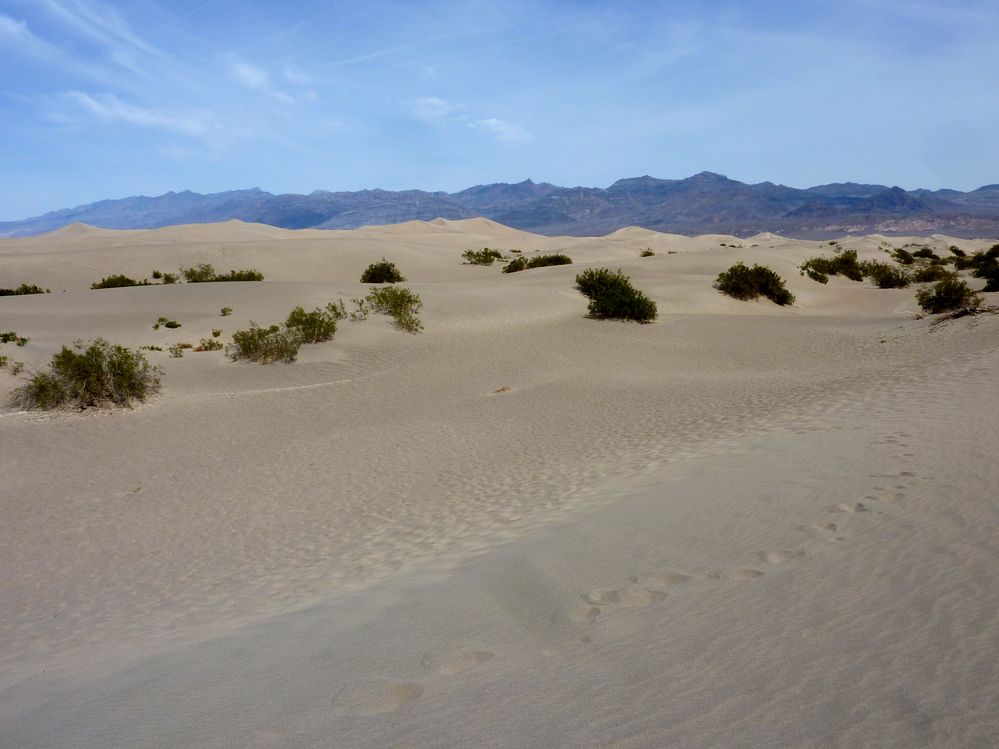 vallée de la mort  (162).JPG